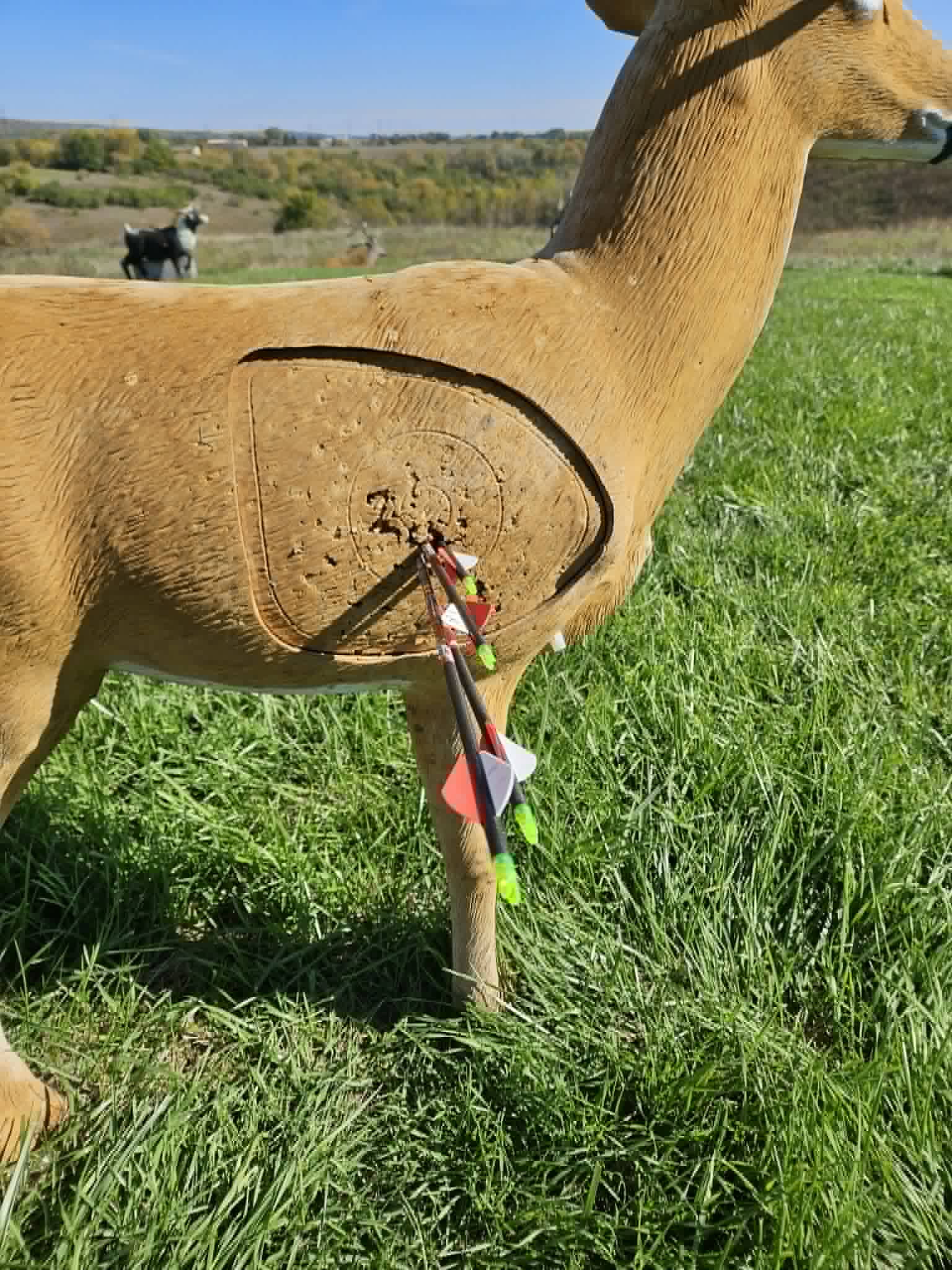Arrows grouped tightly in a target
